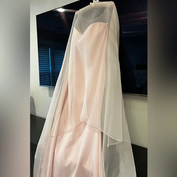 Neiman Marcus Badgley Mischka Blush Pink Strapless Gown w Organza Sheer Overlay - Picture 3 of 9